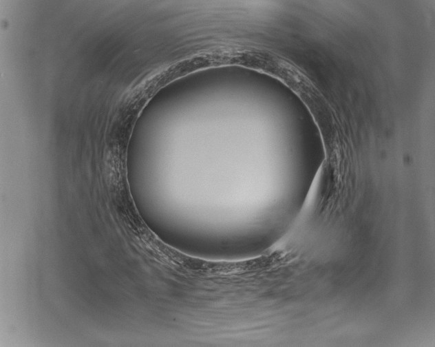 X0000069390773200605150942