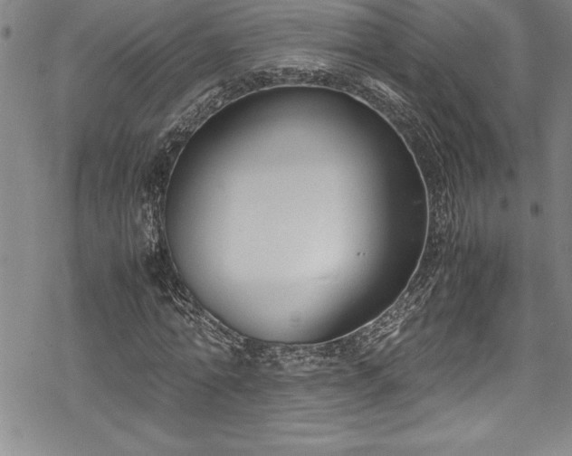 X0000069390774200605150942