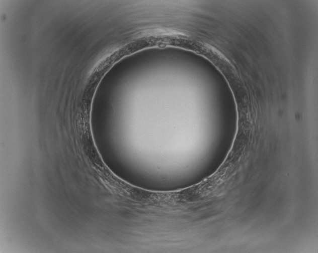 X0000069390775200605150942