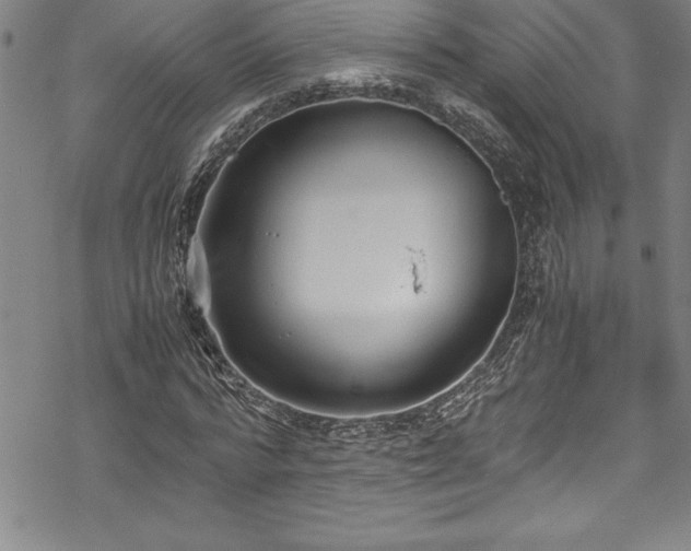 X0000069390776200605150942