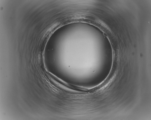 X0000069390777200605150942