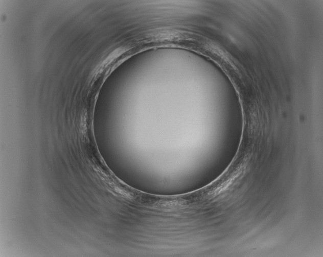 X0000069390778200605150942