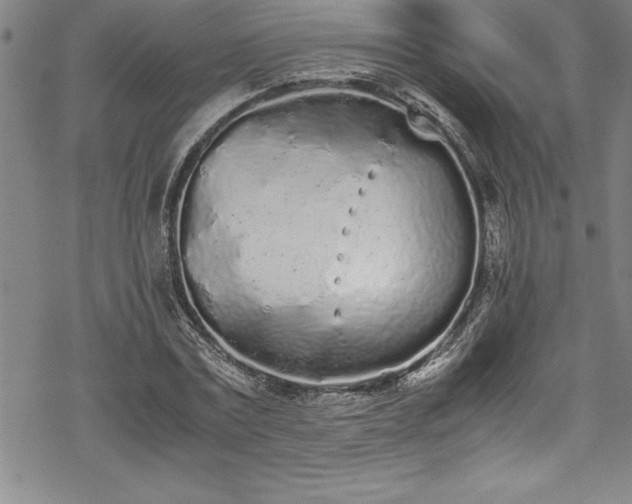 X0000069390779200605150942