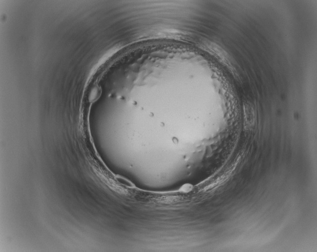 X0000069390780200605150942