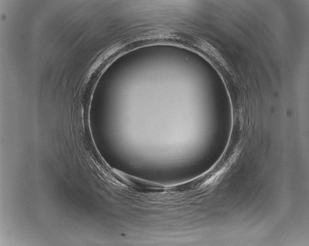 X0000069390781200605150942