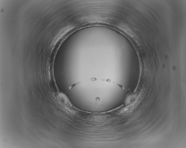 X0000069390782200605150942