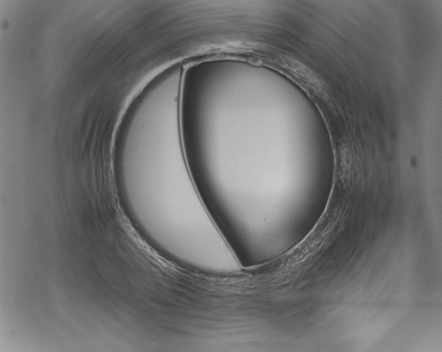 X0000069390784200605150942