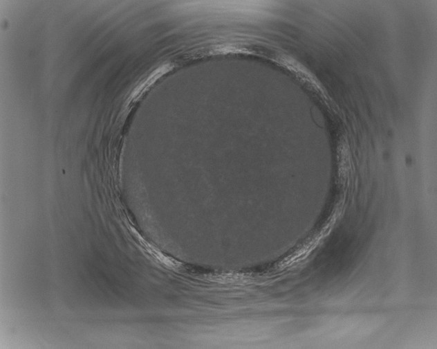 X0000069390785200605150942