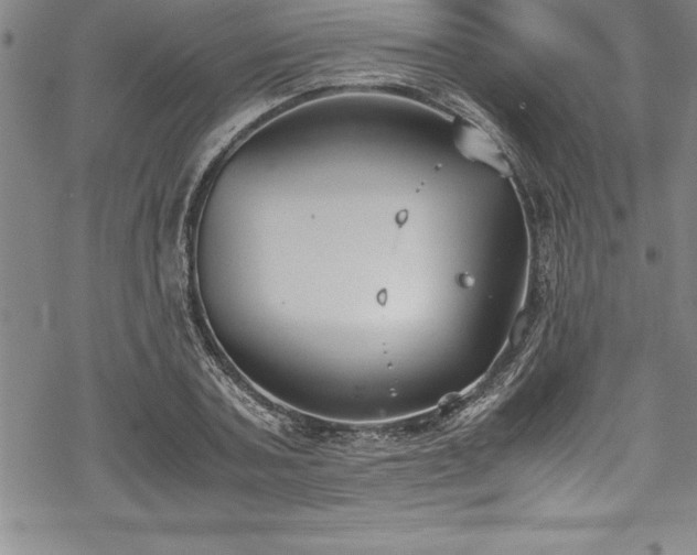 X0000069390787200605150942