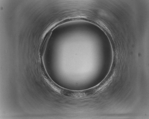 X0000069390789200605150942