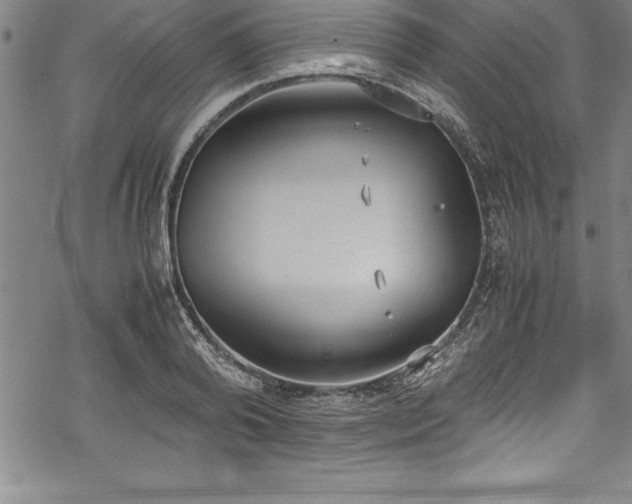 X0000069390792200605150942