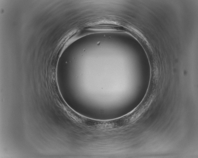 X0000069390793200605150942