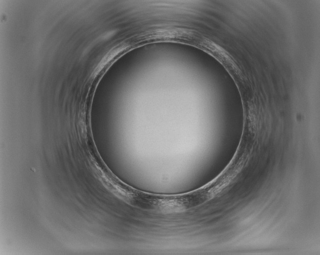 X0000069390794200605150942