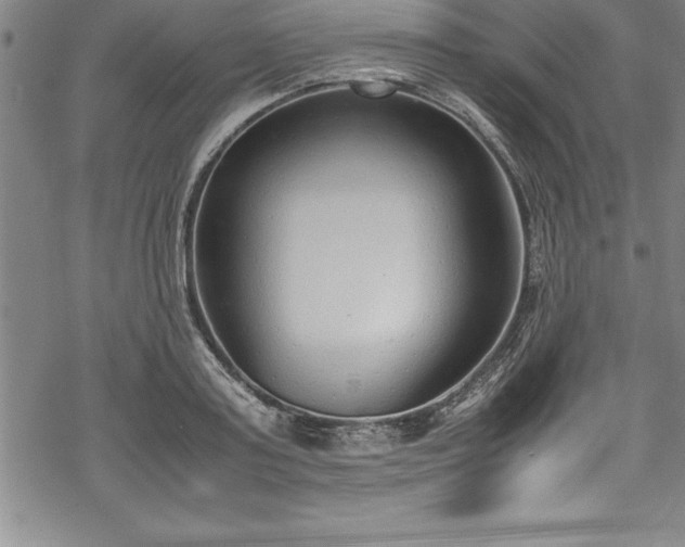 X0000069390795200605150942