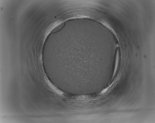 X0000069390797200605150942