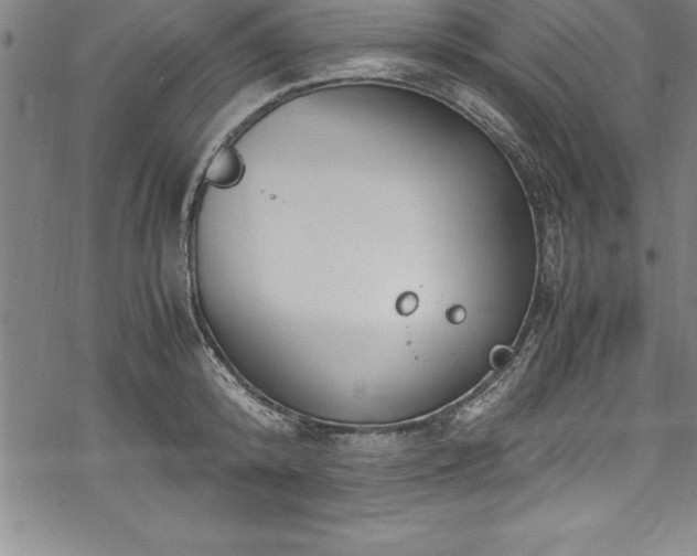 X0000069390800200605150942