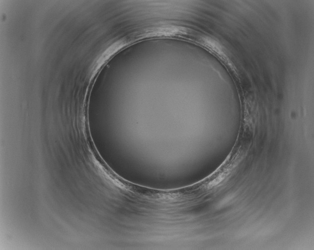 X0000069390802200605150942