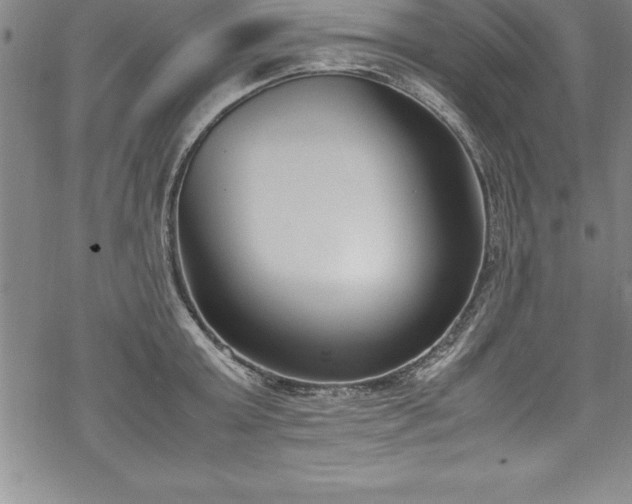 X0000069390803200605150942