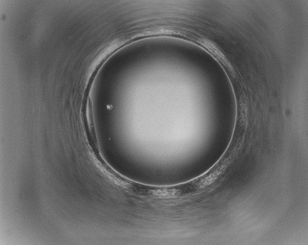 X0000069390805200605150942