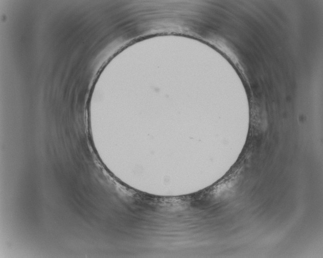 X0000069390807200605150941