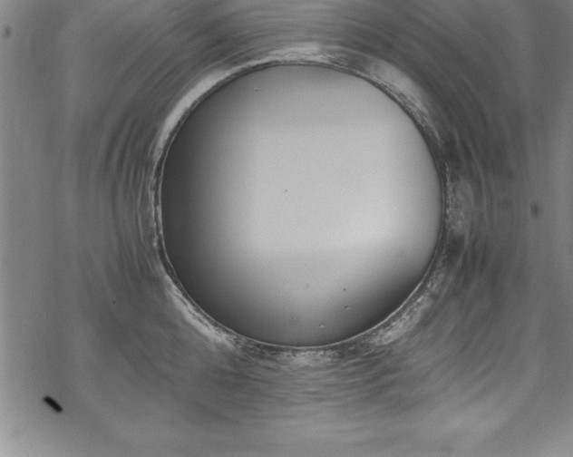 X0000069390808200605150941