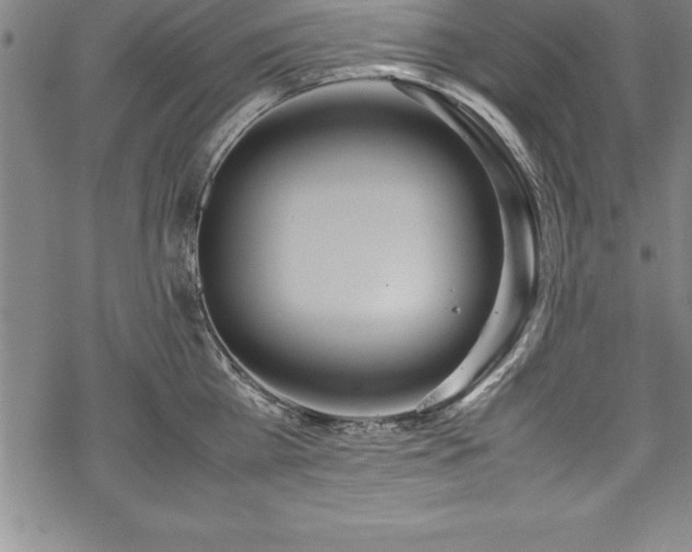 X0000069390809200605150941