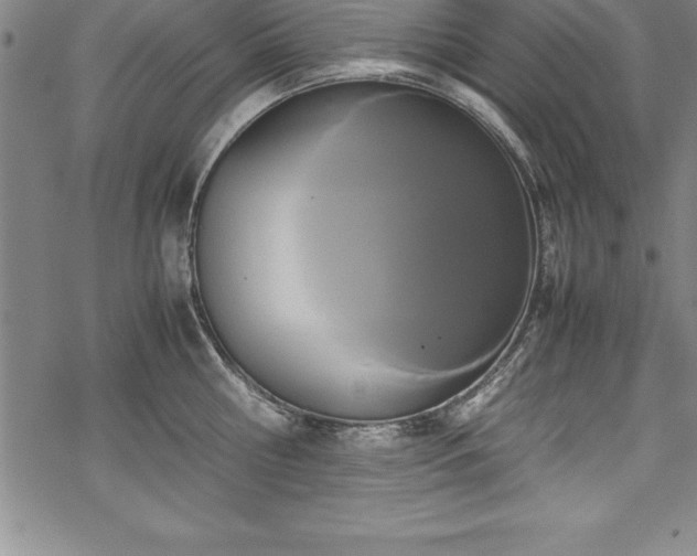 X0000069390810200605150941