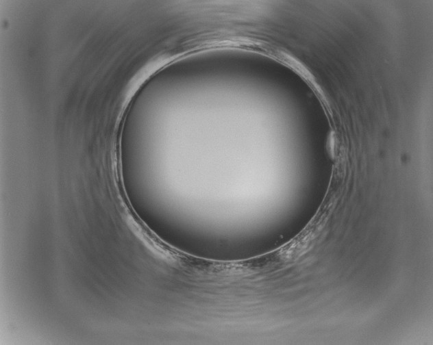 X0000069390811200605150941