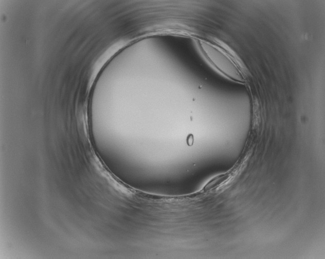 X0000069390812200605150941