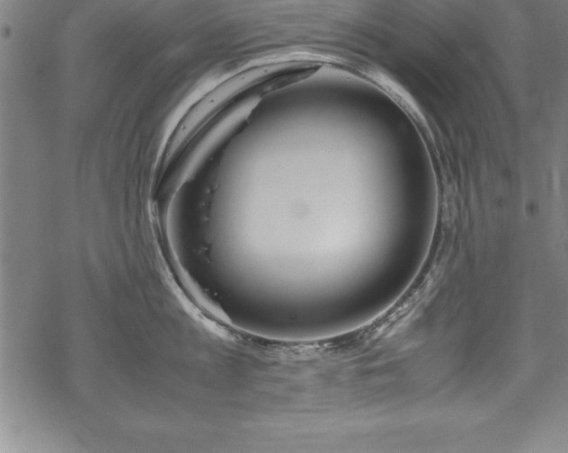 X0000069390813200605150941