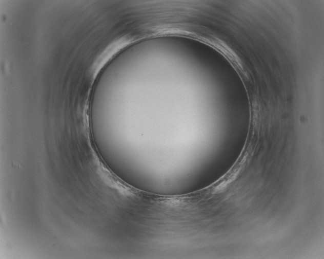 X0000069390814200605150941