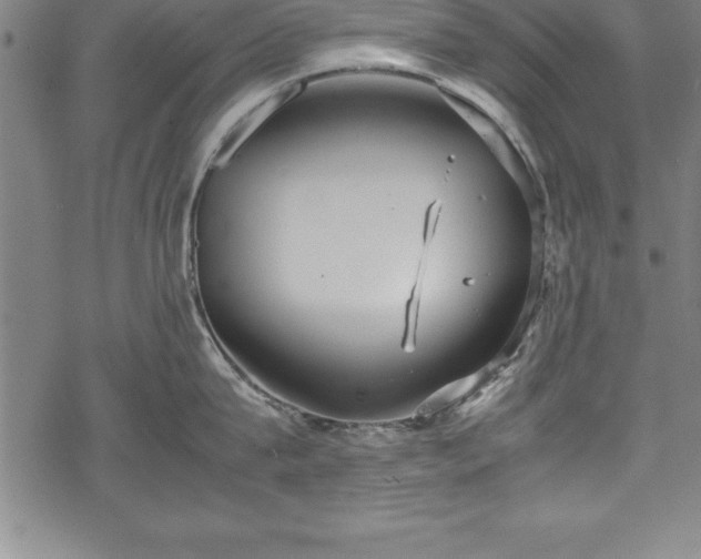 X0000069390815200605150941