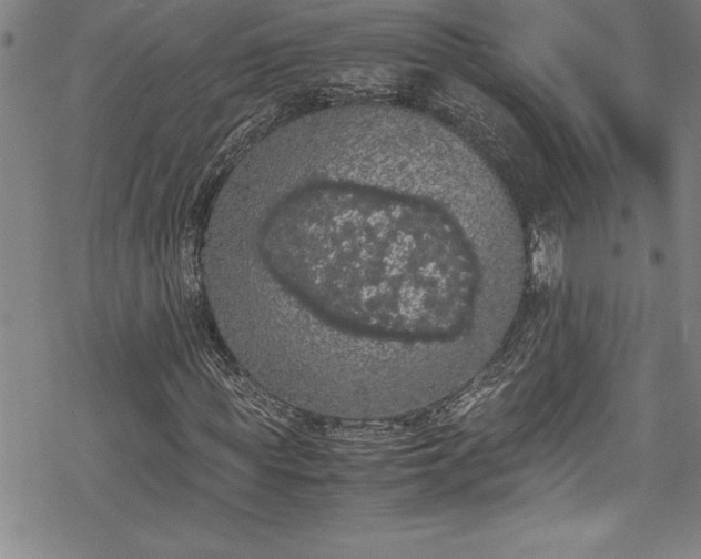 X0000069390819200605150941