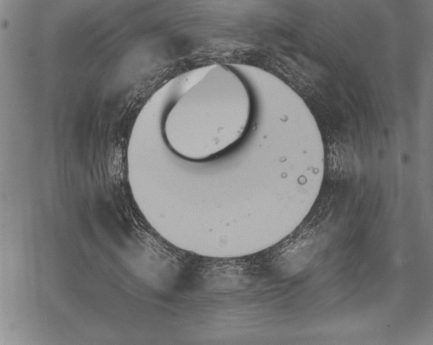 X0000069390820200605150941