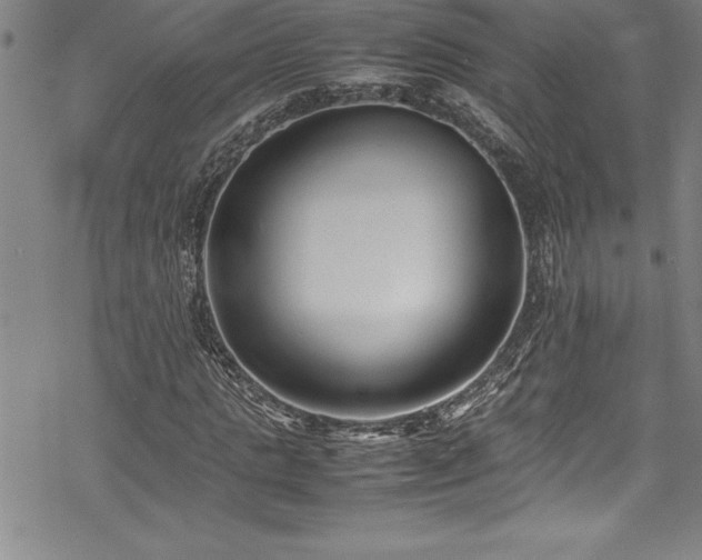 X0000069390821200605150941