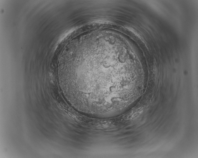 X0000069390823200605150941