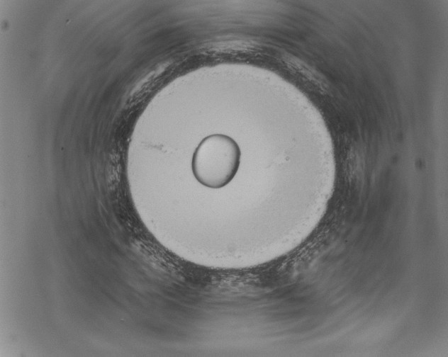 X0000069390824200605150941