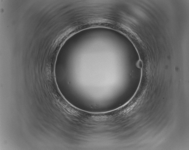 X0000069390825200605150941