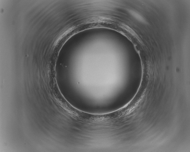 X0000069390826200605150941