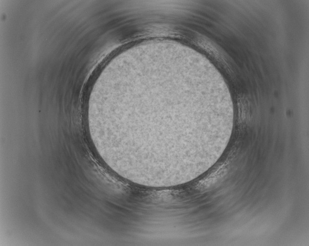 X0000069390828200605150941