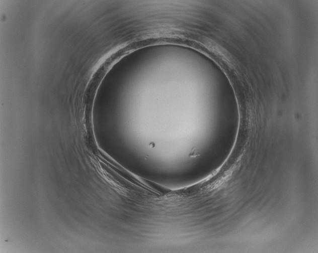 X0000069390830200605150941