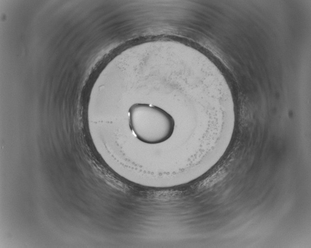 X0000069390832200605150941