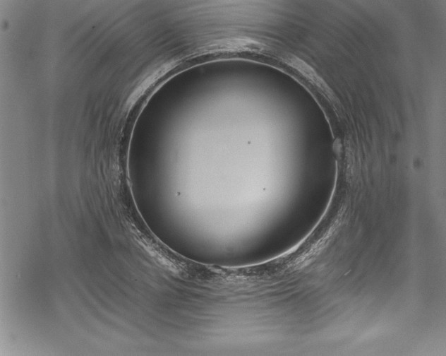 X0000069390834200605150941