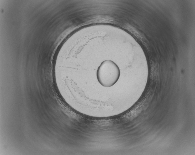 X0000069390836200605150941