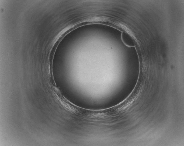 X0000069390837200605150941