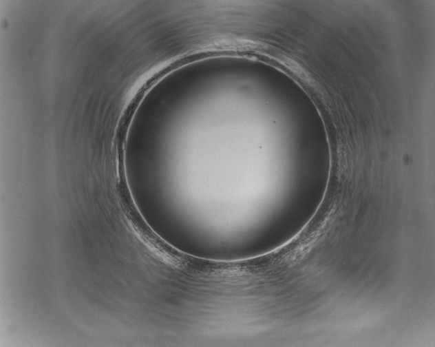 X0000069390838200605150941