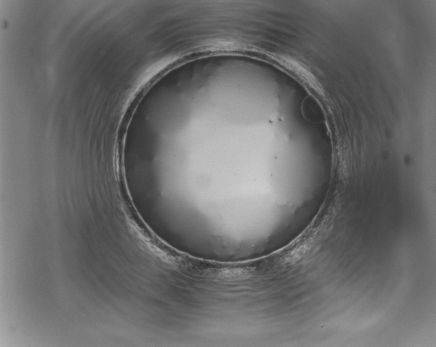 X0000069390839200605150941