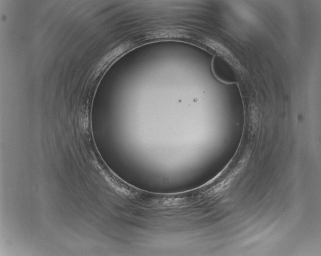 X0000069390841200605150941