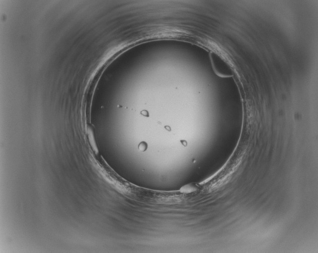 X0000069390843200605150941