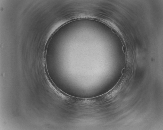 X0000069390847200605150941